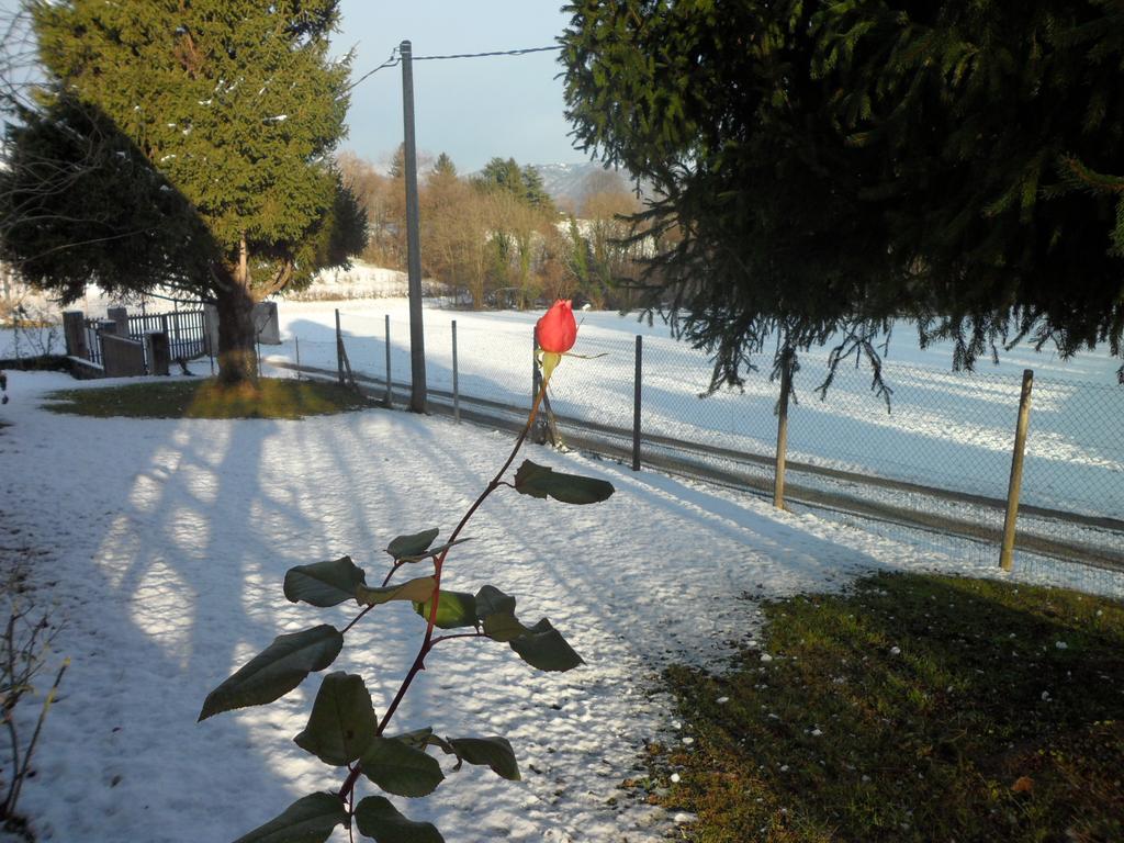 B&B Cuei Di Baret Tricesimo Exteriör bild