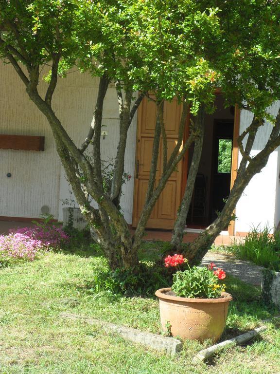 B&B Cuei Di Baret Tricesimo Exteriör bild